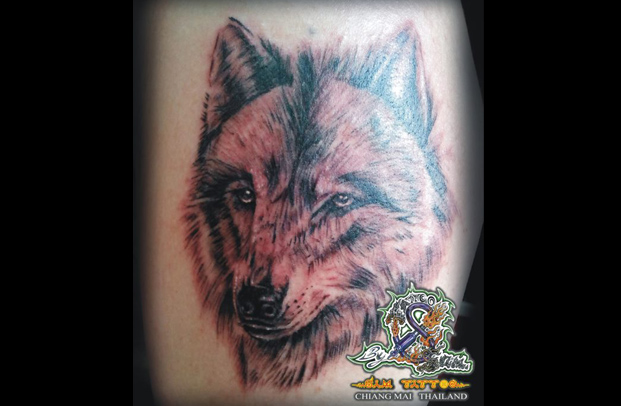 tattoo chiang mai, tattoo chiangmai, chiang mai tattoo, chiangmai tattoo, tattoo thailand, thailand tattoo, แทททูเชียงใหม่, ร้านสักเชียงใหม่, ร้านสักแทททู, แทททูเชียงใหม่, ร้านสักเชียงใหม่, ร้านสักแทททู, swashdrive gen 8 Thailand, thai tattoo, professinal tattoo thai, body piercings in chiang mai, body piercings chiang mai, body pain chiangmai, magic tattoo chiang mai, yant thai style, tattoo chiang mai thailand, thai traditional, best tattoo, ร้านสัก, รับสักลาย, ช่างสัก, แก้ลายสัก, สักยันต์, รอยสัก, สักลาย, อาร์ทติส, แบบลายสัก, ออกแบบลายสัก, เจาะ, แทททู, งานสักลายไทย, ลายสักไทย, บอดี้เพ้นท์, อุปกรณ์สักลาย, รูปลายสัก, รับสักร่างกาย, tattoo picture, tattoo machine, tattoo supply, tattoo service, tattoo studio, body piercing, tattoo design